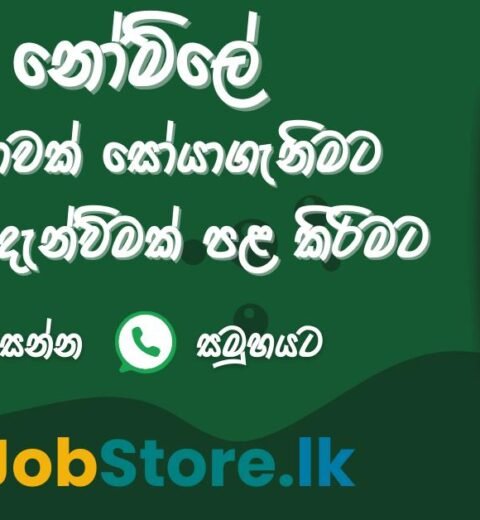 488893458_1136831571788722_3544249675357293321_n