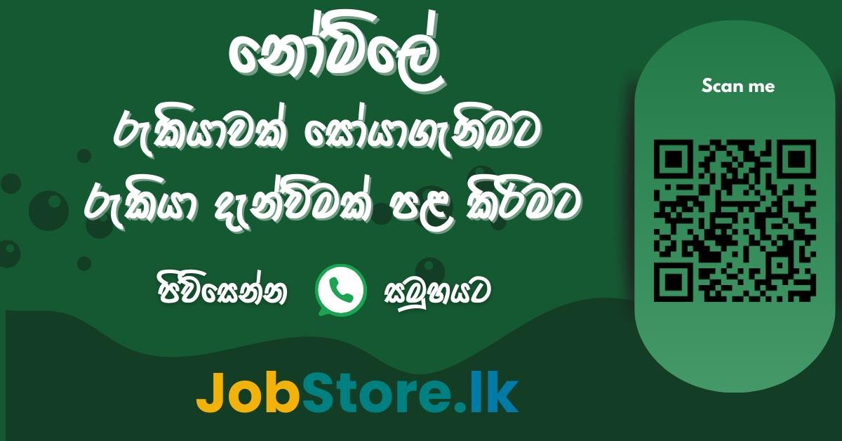 488893458_1136831571788722_3544249675357293321_n